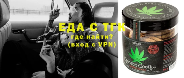 индика Алексин