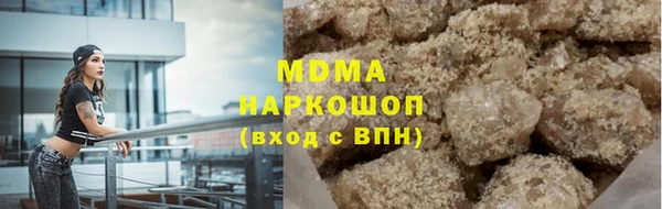 индика Алексин