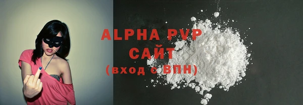 индика Алексин