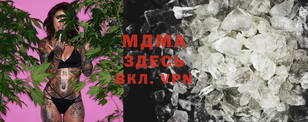 индика Алексин