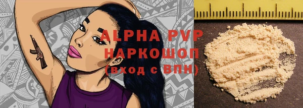 ешки Корсаков