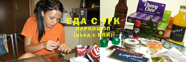 индика Алексин