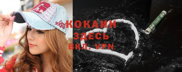 индика Алексин