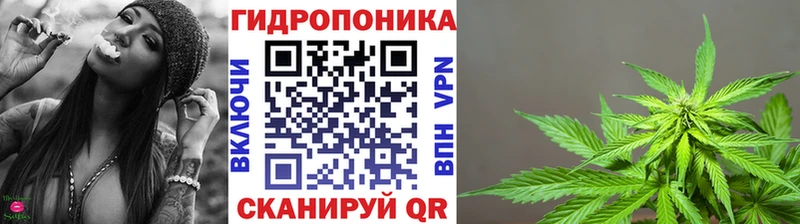 Шишки марихуана сатива  как найти закладки  Черепаново 